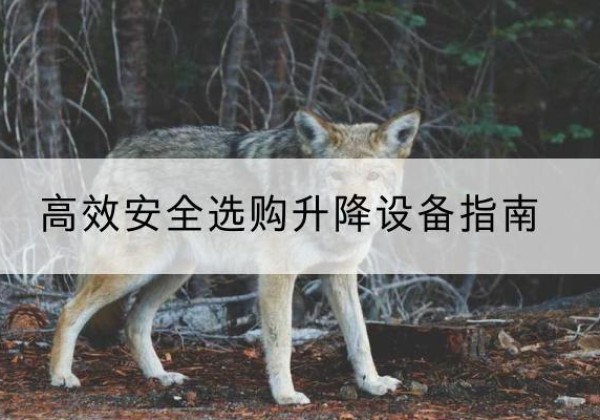 哈密升降货梯厂家推荐-*安全选购升降设备指南