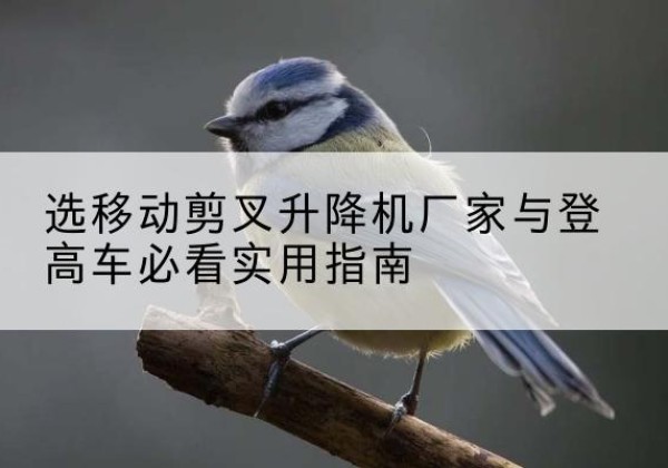 哈密电动升降机厂家-选移动剪叉升降机厂家与登高车必看实用指南